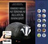 Ismerd meg az éjszakai állatok hangját! - Ki motoz a sötétben?