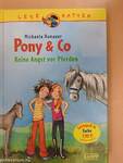 Pony & Co