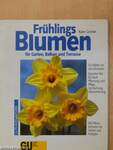 Frühlings-Blumen für Garten, Balkon und Terrasse