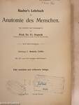 Rauber's Lehrbuch der Anatomie des Menschen Abteilung 3. (töredék)