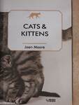 Cats & Kittens