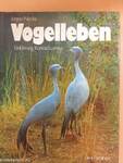 Vogelleben