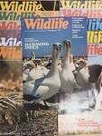 Wildlife January-December 1977. 