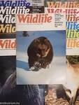 Wildlife January-December 1976. 