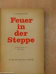 Feuer in der Steppe