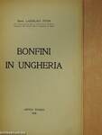 Bonfini in Ungheria