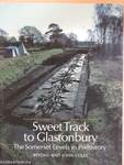 Sweet Track to Glastonbury