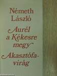 Aurél a Kékesre megy/Akasztófavirág