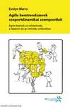 Agilis keretrendszerek csoportdinamikai szempontból - Agilis teamek az odatartozás, a hatalom és az intimitás erőterében