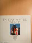 Fallingbostel Im Bild