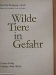 Wilde Tiere in Gefahr