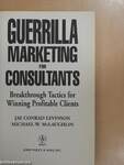 Guerrilla Marketing for Consultants