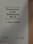 Privatization In The Developing World