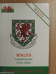 Wales futballtörténete (1876-2003)