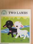 Two Lambs