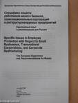 Specific Issues in Employee Protection with Regard to Small Businesses, Transnational Corporations, and Corporate Restructuring