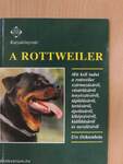 A rottweiler