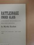 Rattlesnake under Glass