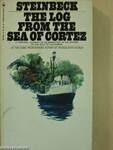 The log from the sea of Cortez