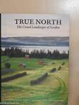 True North