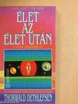 Élet az élet után