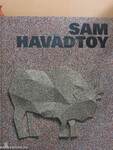 Sam Havadtoy