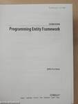 Programming Entity Framework