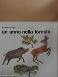 Un anno nella foresta