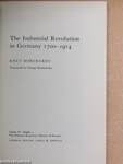 The Industrial Revolution in Germany 1700-1914