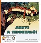 Annyi a tennivaló! -Kázmér és Huba 8.Képregény