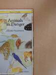 Animals in Danger