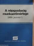 A népgazdaság munkaerőmérlege 1989. január 1.