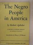 The Negro People in America