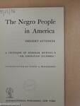 The Negro People in America