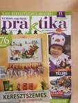 Praktika 2010. november