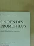 Spuren des Prometheus