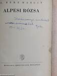 Alpesi rózsa