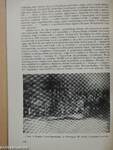 Tanácsok a Galga mentén az 1918-1919-es forradalmak idején (dedikált példány)