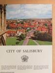 City of Salisbury