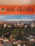 Ganz Granada