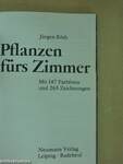 Pflanzen fürs Zimmer