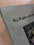 Wo Wälder sein müssen