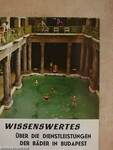 Wissenswertes über die Dienstleistungen der Bäder in Budapest