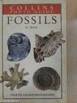 Collins Photo Guide to Fossils