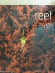 Reef - DVD-vel