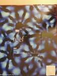 Reef - DVD-vel