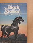 The Black Stallion