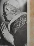 Der heilige Papst Pius X.