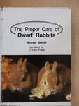 The Proper Care of Dwarf Rabbits