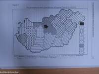 Regional Processes and Spatial Structures in Hungary in the 1990's